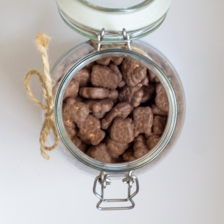 Cocoa - Herbatniki mini w czekoladzie kokosowej BIO (100g)