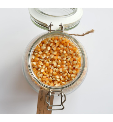 Kukurydza ziarno - popcorn (100g)