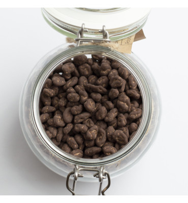 Cocoa - Rodzynki w czekoladzie surowej BIO (100g)