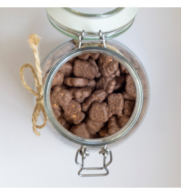 Cocoa - Herbatniki mini w czekoladzie kokosowej BIO (100g)